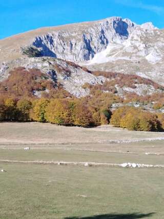Фермерские дома Vida Жабляк Двухместный номер Делюкс с 1 кроватью-8