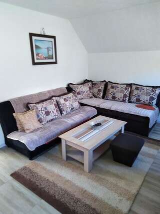 Фермерские дома Vida Жабляк Двухместный номер Делюкс с 1 кроватью-1