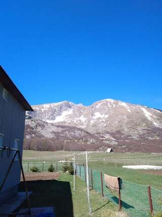 Фермерские дома Vida Жабляк Двухместный номер Делюкс с 1 кроватью-25