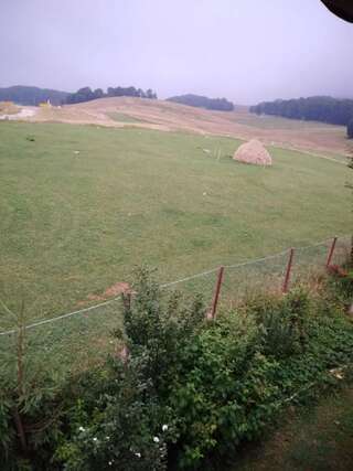 Фермерские дома Vida Жабляк Двухместный номер Делюкс с 1 кроватью-26